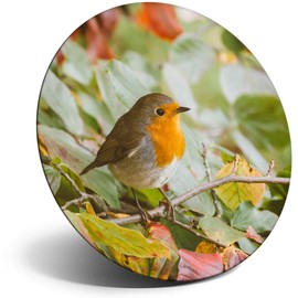 Destination Vinyl ltd Magnet for Refrigerator, Fridge - Cute Red Robin Bird Garden Winter for Office, Cabinet and Whiteboard, Magnetic Stickers, 14318