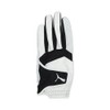 Puma Golf Phantom Leather Gloves (Left Hand), Men's, Bright White,