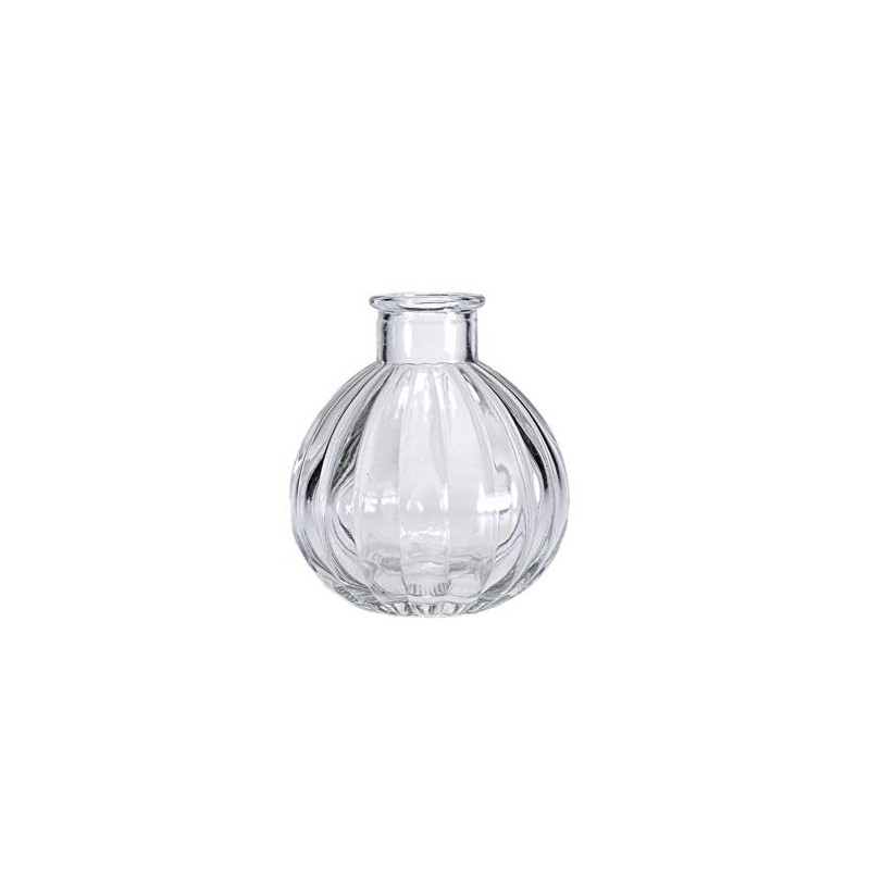 vipolish 1Pcs Empty Clear Glass Diffuser Bottle Aromatherapy Diffuser Jar