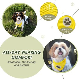 SlowTon Dog Car Harness Seatbelt Set, Pet Vest Harness with Safety Seat Belt for Trip and Daily Use Adjustable Elastic Strap and Multifunction Breathable Fabric Vest in Vehicle for Dogs