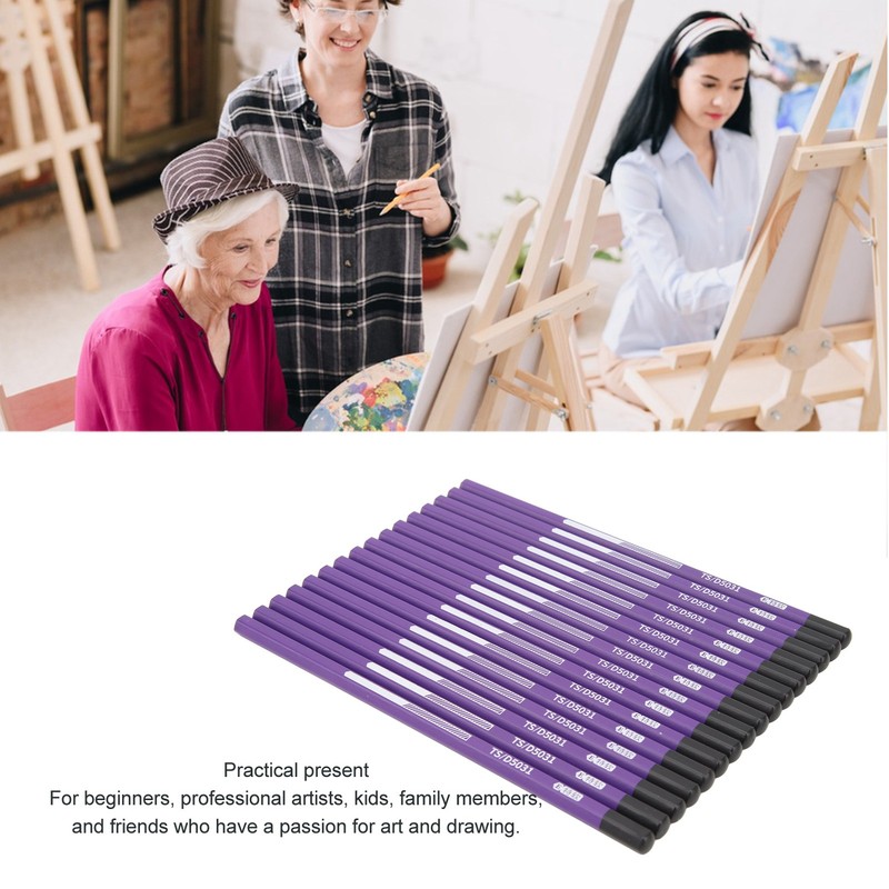 16pcs Charcoal Pencil Drawing Sketching Shading Pencils for Beginners Professional