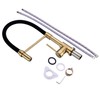 Pirooso Gold and Black Kitchen Faucet, Kitchen Sink Faucet with