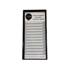 Alluring 4D Volume Lashes C Curl .05mm Eyelash Extensions (4-in-1) x 12mm