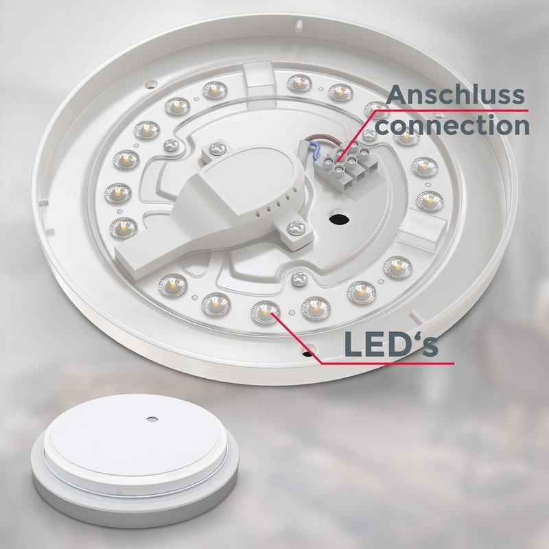 B.K.Licht - Ceiling Light for the Bathroom, Neutral White Light
