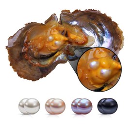 LGSY Akoya Twins Pearl Oysters - 5PC Set, Saltwater Cultured Pearls (6-7mm, White/Pink/Purple/Black)