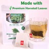 TEARELAE - Premium Horsetail Tea Bags - 1.5g x 40