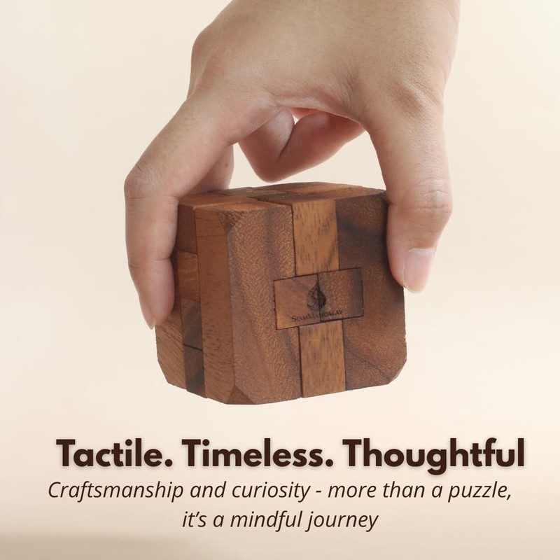 Hidden Passage: Wooden 3D Mechanical Puzzle for Adults – Brain