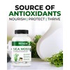 Renew Actives Sea Moss Capsules - Premium Triple-Action Antioxidant Blend
