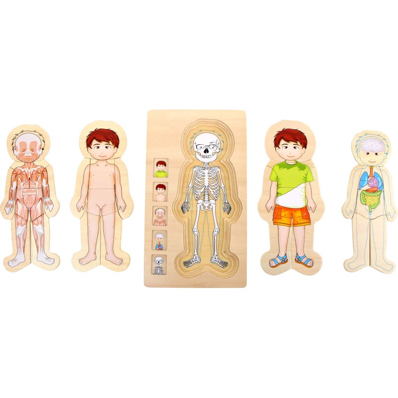 Legler Anatomy Tim Wooden Puzzles