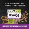 MouseX 1lb Bag, All-Natural Poison Free, Effective Against All Species