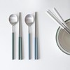 Celebrity Cutlery Kamome Kitchen Color Mood Spoons Chopsticks Cutlery Set