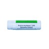 Arnica Montana C200 Globules 1 g