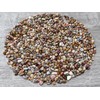 GAF TREASURES 0.5 Pound Natural Semi Tumbled Gemstone Chips, Crushed