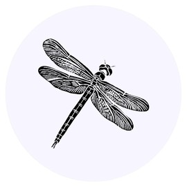 24 x 40mm Round 'Simple Dragonfly Top View' Stickers (SK00068280)