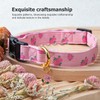 Cotton Handmade Dog Collar Cute and Distinctive Patterns White and