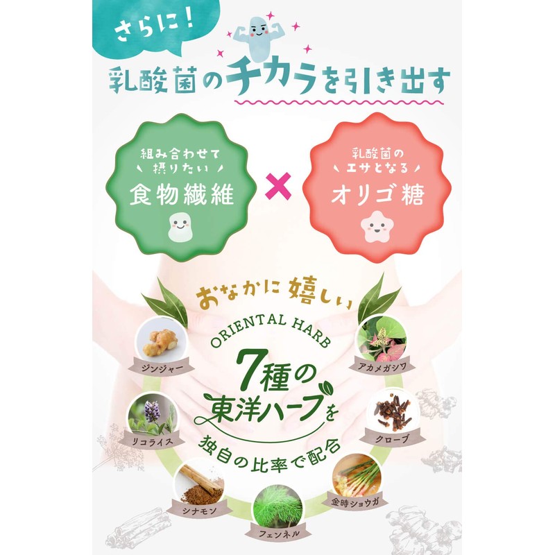 めぐみの乳酸菌 乳酸菌 ビフィズス菌 ６兆個27種の乳酸菌 60粒 30日分 サプリメント オリゴ糖 食物繊維 タブレット