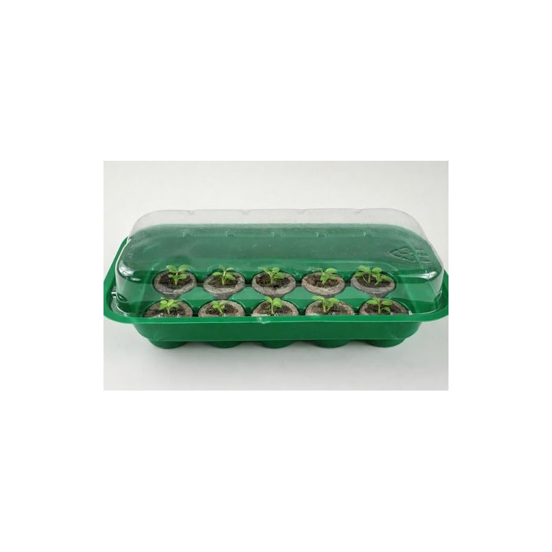 Sesua Propagation Set Including 10 Sourcing Tabs Sourcing Tablets Indoor