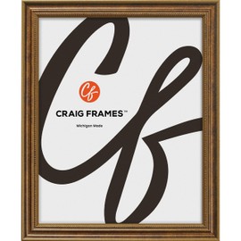 Craig Frames 314BR, 16x19 Picture Frame, Ornate Bronze