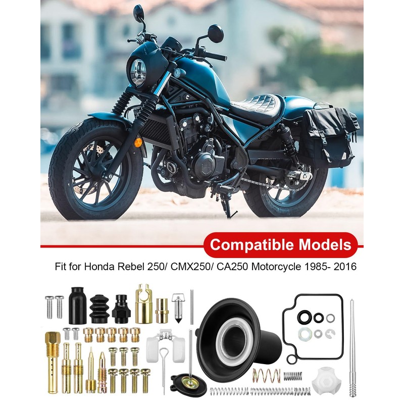 Carburetor Rebuild Repair Kits, Single Carburetor Version with Plunger Assembly