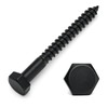 1/4 x 4 Black Lag Bolts, 10 PCs Dacromet-Coated 304