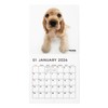 THE DOG 2026 Wall Calendar, Mini Size (American Cocker Spaniel)