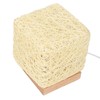 Rattan Table Lamp with LED Bulb USB Powered Decorative Hand