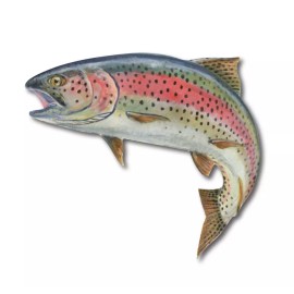 RAINBOW TROUT FISH FLY FISHING LARGE DECAL CONTOUR CUT STICKER 2 PACK