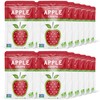 Nature’s Turn Freeze-Dried Fruit Snacks, Apple Crisps, Pack of 24