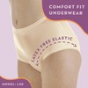 Wearever 6-Pack Women's Nylon Regular Absorbency Incontinence Panties Beige 150