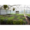BeMicro Whole Food Microgreens - US Grown, Small Batch, Nutritional