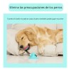 Hiperactivos Interactivos Cachorros Juguetes Para Perros