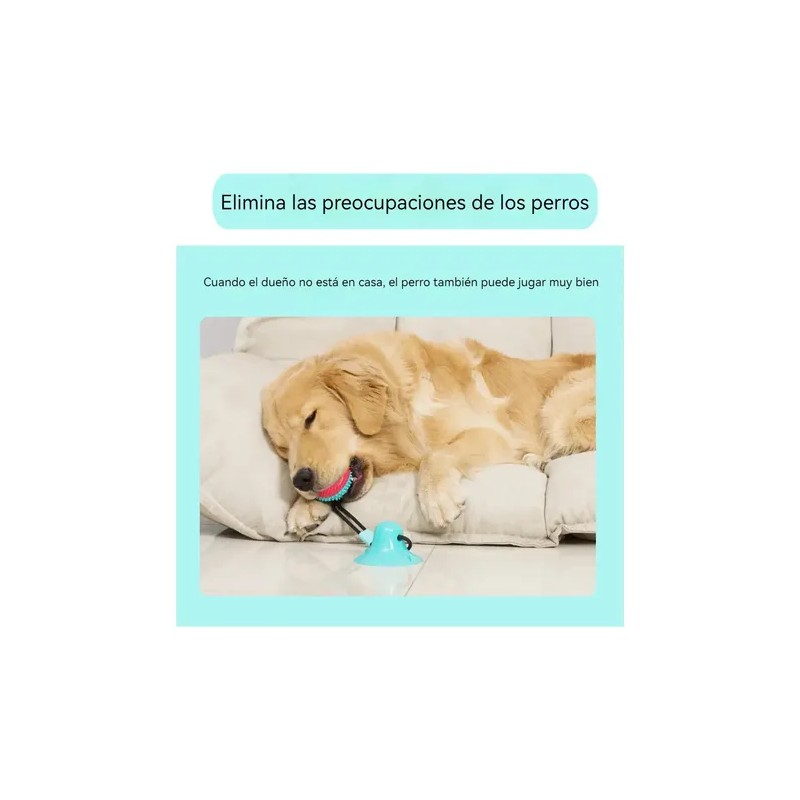 Hiperactivos Interactivos Cachorros Juguetes Para Perros
