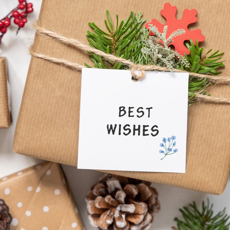 Outus 4 Pcs Merry Christmas Words Clear Stamps Blessing Sentiment