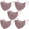 Women's Mask, Stylish, Adult, Cute, Tartan, Pattern, Washable, Design, Mask,