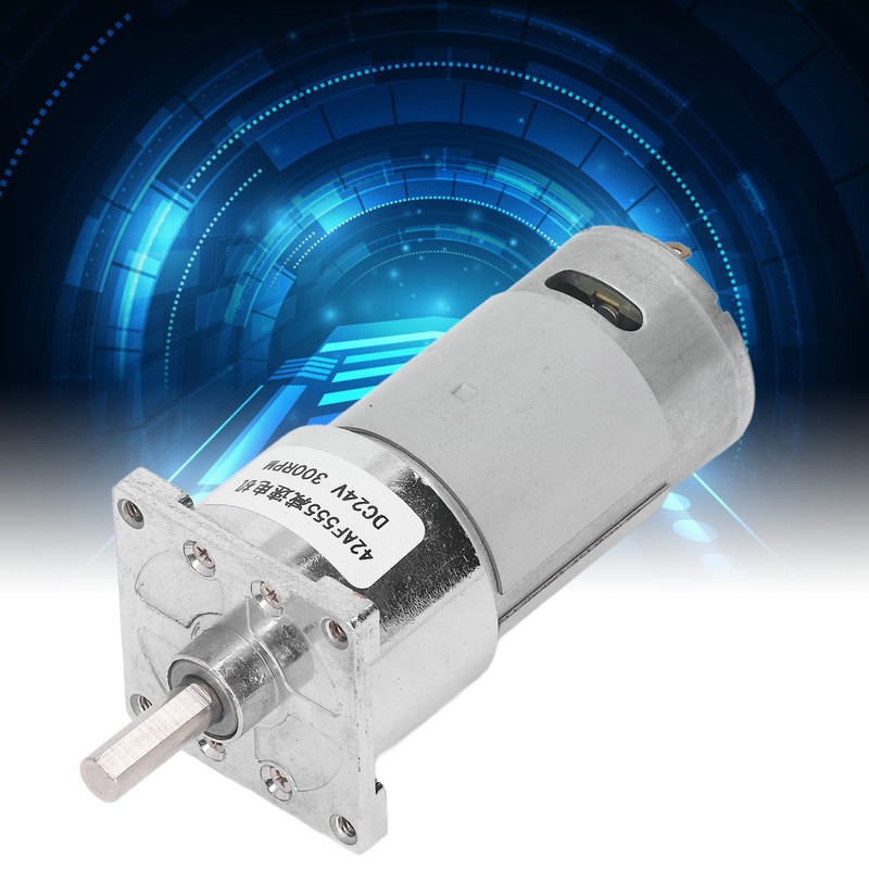 DC24V Gear Motor Self Locking Worm Speed Reduction Motor with