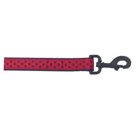 Zack & Zoey Nylon Brite Polka Dot Dog Lead, 6-Feet, Navy