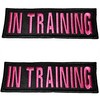 Service Dog Collar Vest Patches - 2 X 6 Inch