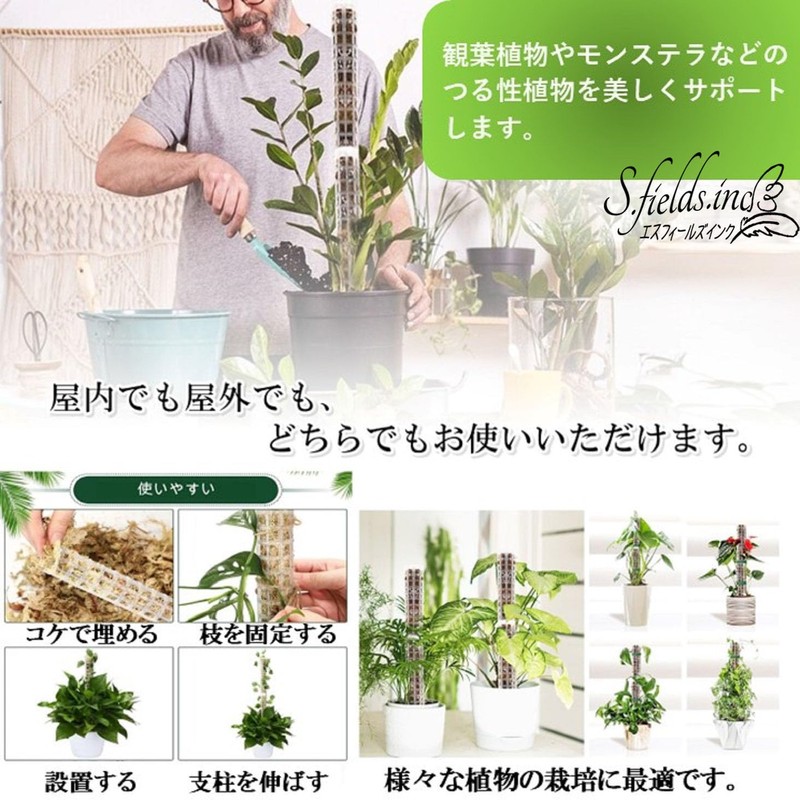 S.fields.inc Mospall Stanch, Set of 4 Connectable Plants, House Plants,
