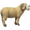 Schleich Ram