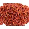 Bird African Bird Pepper (90m hu) 1 oz (Piri Piri)