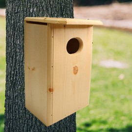 Bird Habitats Bufflehead Duck House – Cavity-Nesting Box with Side Access & Wood Chips, 1" Thick Eastern White Pine for Insulation, Ventilated & Easy-Clean, 17.75" H Duck Nest Box – Made in USA