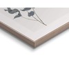 REINDERS Eucalyptus Framed Picture - MDF - 40 x 50