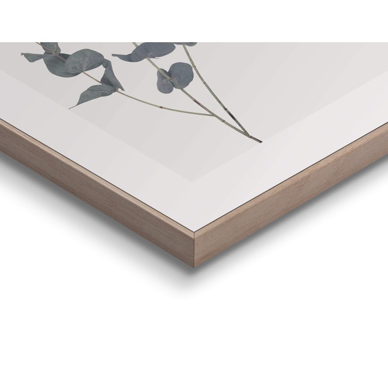 REINDERS Eucalyptus Framed Picture - MDF - 40 x 50