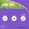 Bonide Chickweed, Clover and Oxalis Killer, 16 oz Concentrate, Controls