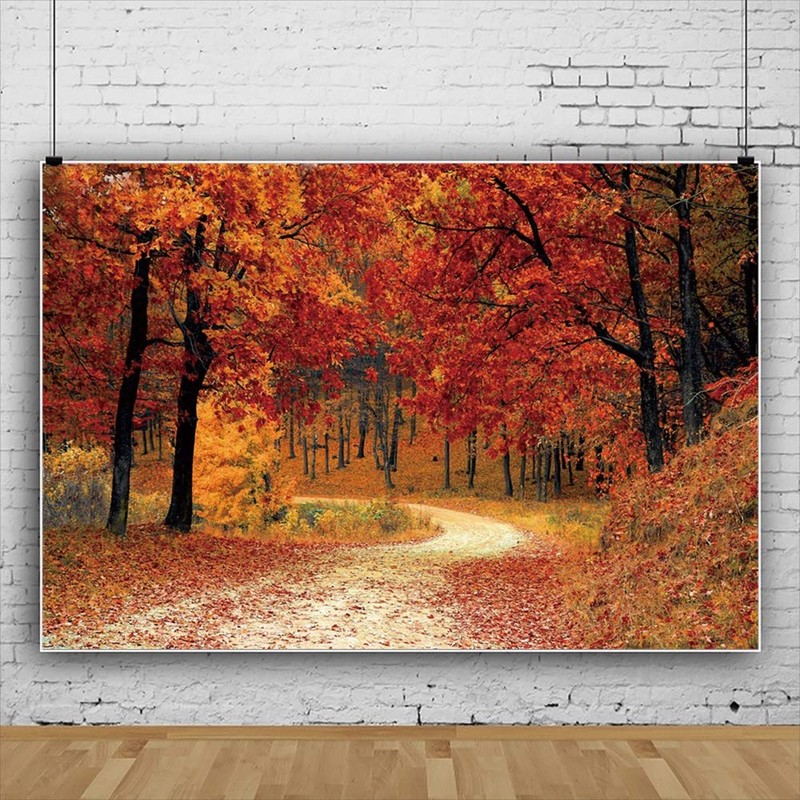 Leyiyi 5x3ft Autumn Forest Backdrop Red Maple Trees Mountain Road