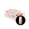 Apres Neutrals Gel-X Maisie Box Of Press On Nails, 11