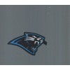 NEW 1 1/2 x 2 3/4 Inch Carolina Panthers Iron on Patch Free Ship