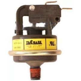 Raypak 062237B Pressure Switch