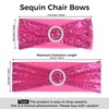 Babenest 10pcs Sequin Chair Sashes with Buckle Slider, One-Sided Sequins