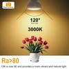 WSMCN GU10 LED Warm White Bulb, 4 W Replaces 50